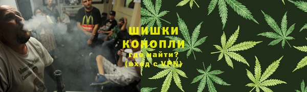 каннабис Аркадак
