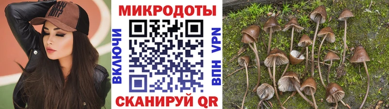 Галлюциногенные грибы ЛСД  Щёлково 